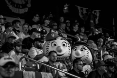 HM: Robert Sabo – New Post Independent – From Little League to Big Leagues