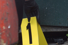 Brooklyn , New York  August 17, 2025
  Multiple Shooters open fire, leaving 11 people shoot ,3 Dead. NYPD officers investigate the shooting scene at the "Taste of the City" Lounge . When officers arrived on scene they found 8 men and 3 woman shot. Police have recovered a gun and 36 shell casing.